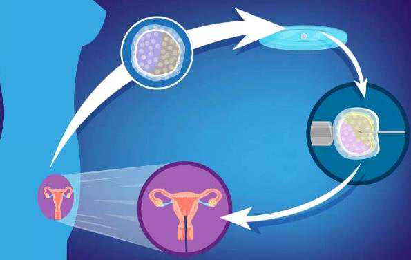 哪里代怀比较好_送子代怀网,美国试管婴儿专家解答：多次做IVF，是否会对身体
