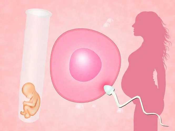42岁第三代试管_试管检查流程费用_试管婴儿的流程是什么样的_输卵管造影对怀