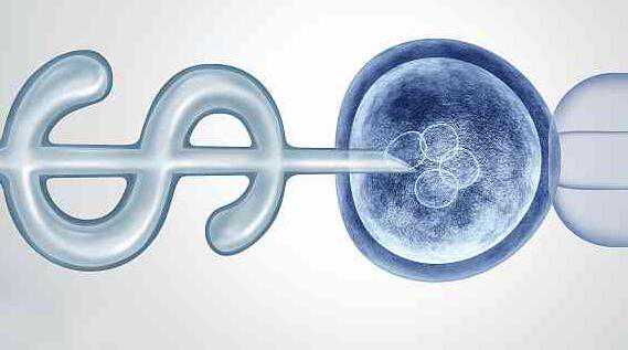 试管婴儿挑选优质精子_做试管婴儿可以筛选基因吗_3代试管15个成熟卵泡够吗？